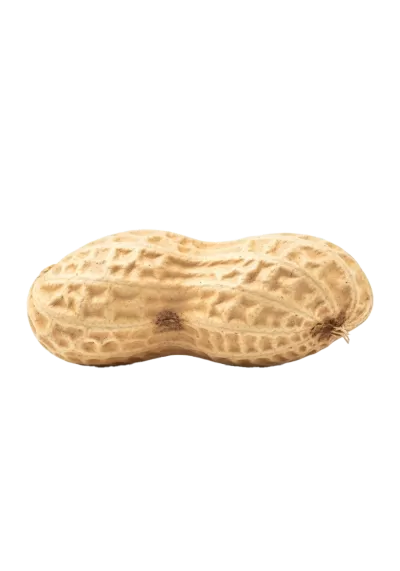 Imagen PNG para descargar